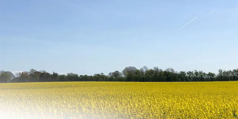 Hobro: Et levende erhvervsliv med potentiale